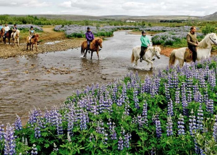 Snorkeling & Horseback Riding